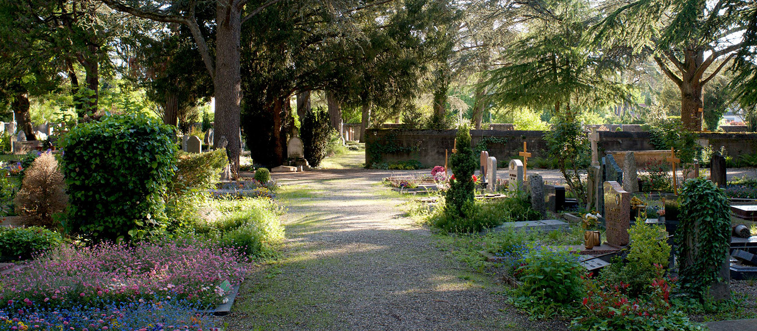 24_10_Cimetiere_avis_renouvellement