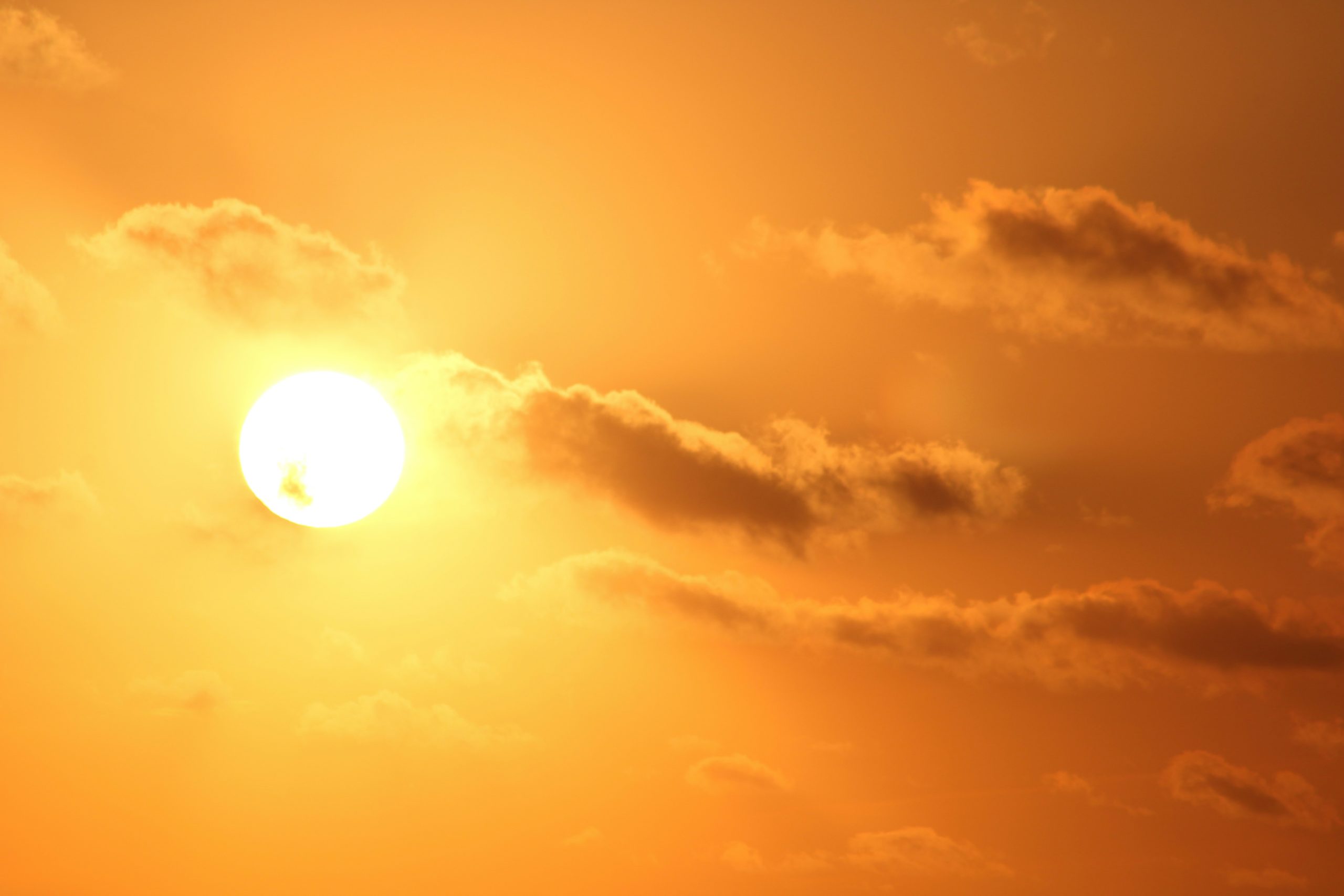 taylor-henley-IBmitXXolMA-unsplash