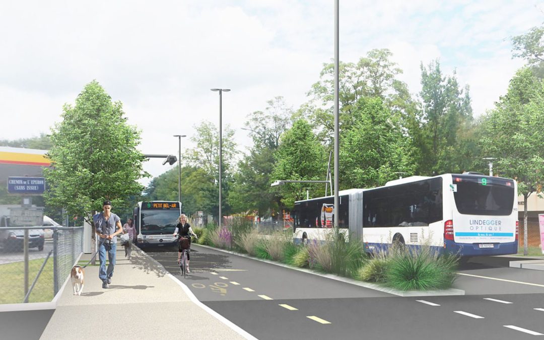 Évolution du réseau TPG