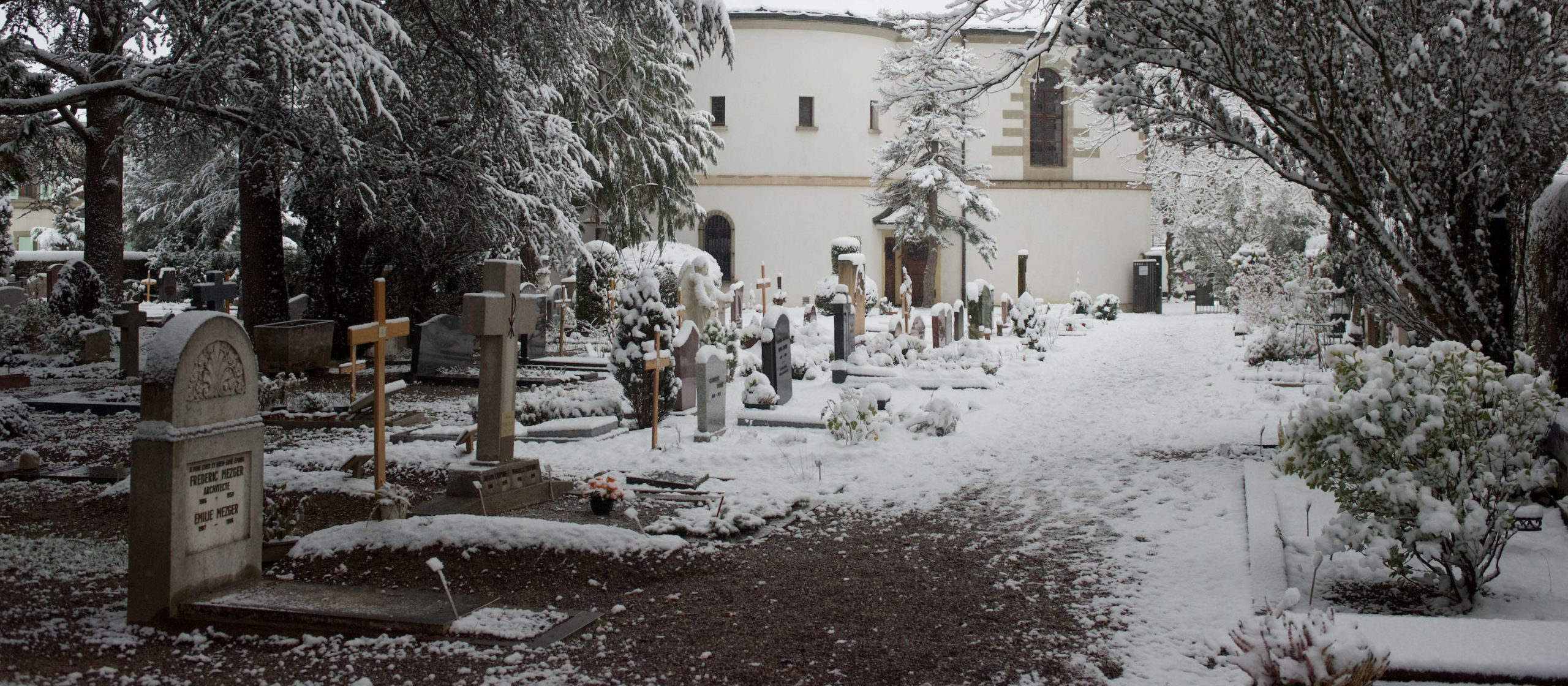 25_11_Cimetiere_FdeLimoges_2024-01-09_vignette